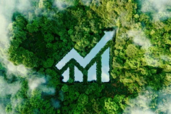 3月19日热门中概股多数下跌 腾讯音乐跌9.50%，金山云涨12.65%